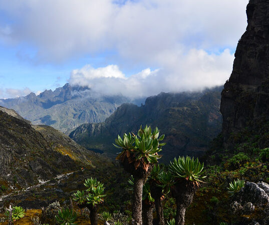 11 Day Summit Margherita Peak on Rwenzori Mountains