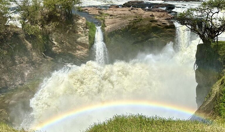 7 Days Uganda Safari
