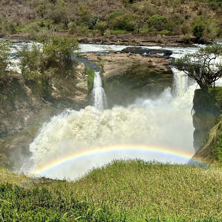53527291558_466116f4cd_b