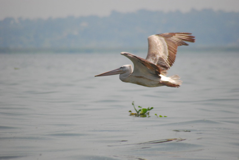 The Top 5 Most Beautiful Lakes in Uganda