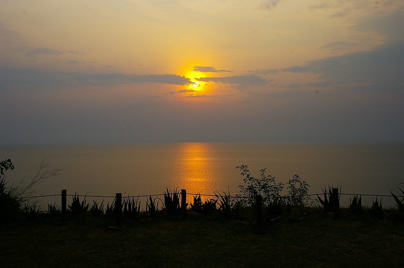 Lake Albert