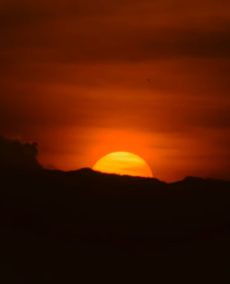 Gorilla Trekking and Lake Kivu Relaxation Guide