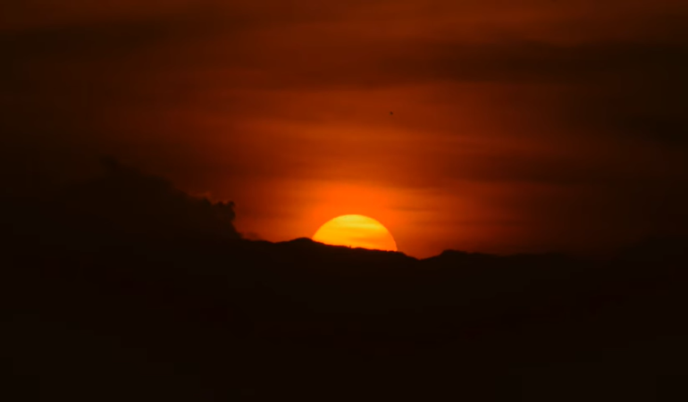 Gorilla Trekking and Lake Kivu Relaxation Guide