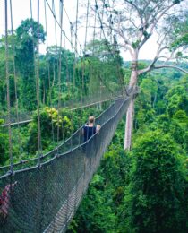 Nyungwe Forest National Park