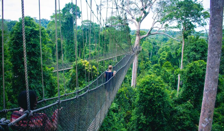 Nyungwe Forest National Park