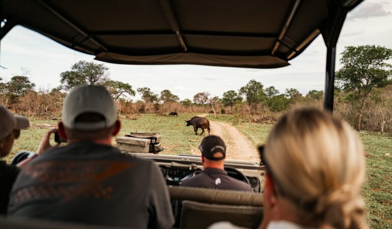 Corporate Team Safari Uganda: Group Safari Planning Guide
