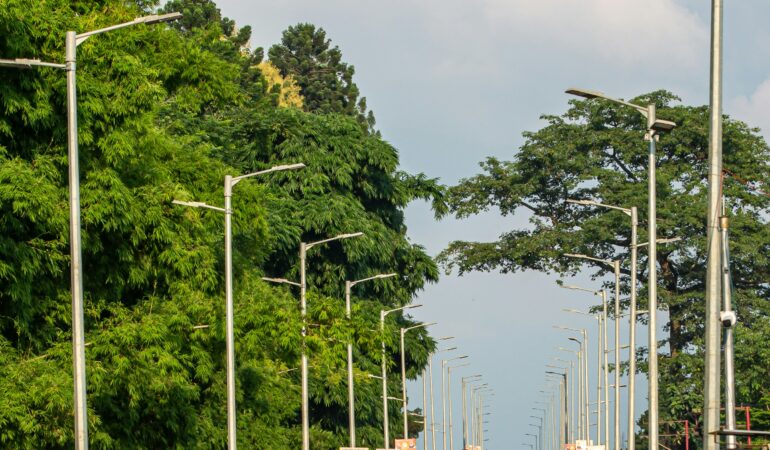 Entebbe Day Trip