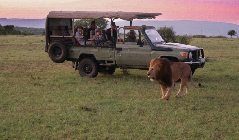 Uganda Safari for Families: Tips, Parks and Kid-Friendly Activities