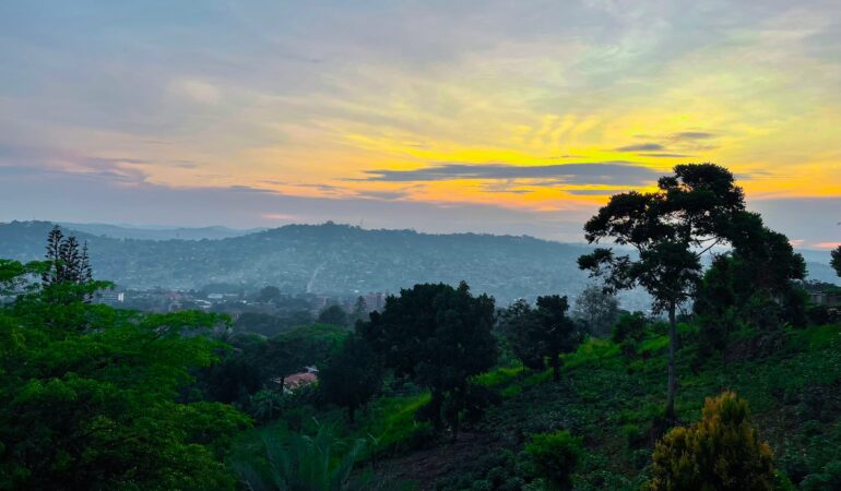 Gorilla Trekking Bucket List: 10 Reasons Uganda Should Be on Yours