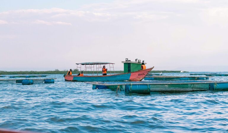 Lake Victoria Uganda: Safari, Birding and Fishing Guide