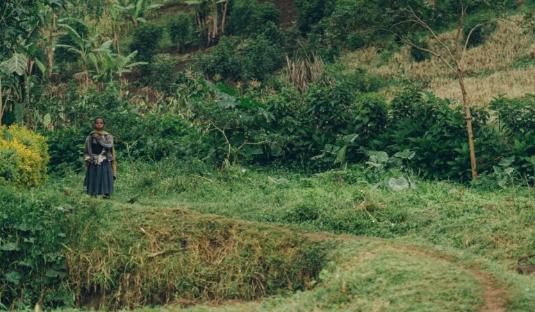 Batwa Cultural Experience Mgahinga: Indigenous Forest Peoples