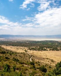 East Africa safari