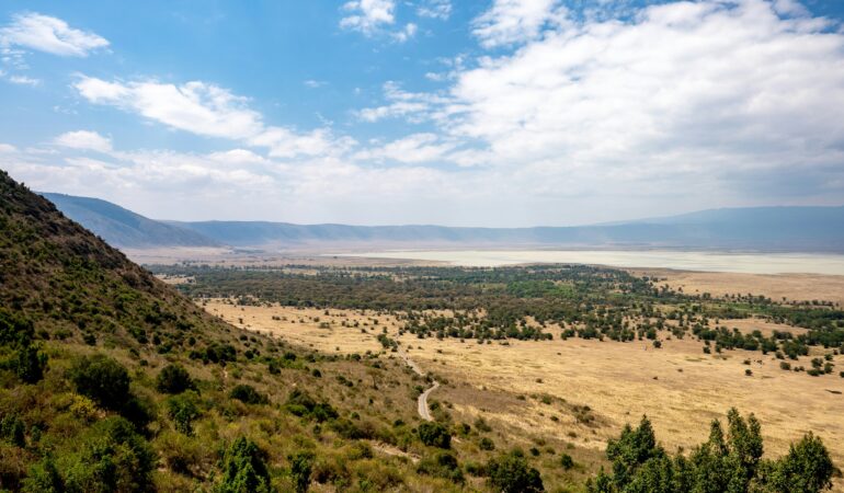 East Africa safari