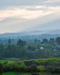 best time to visit Uganda