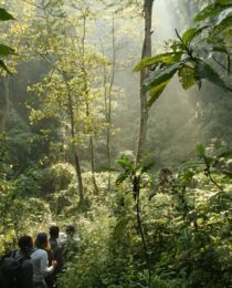 Uganda travel tips