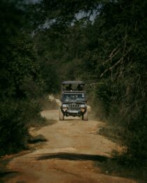 driving in Uganda