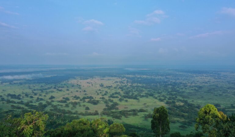 Game Drives in Queen Elizabeth National Park: What Animals to See